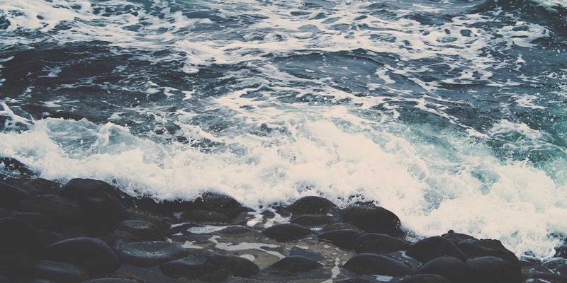 Golf31:探索高尔夫社区、运动与评测的完美融合