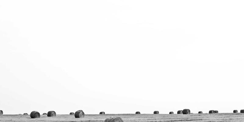 Golf91：探索本地高尔夫运动，发现身边的绿茵魅力