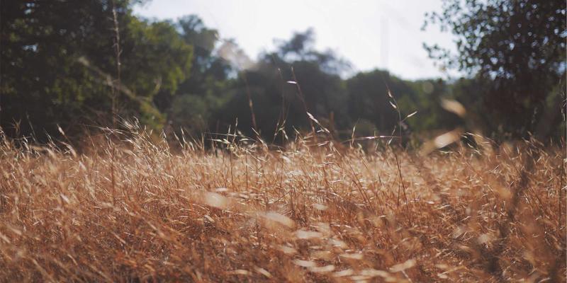 Golf92：本地高尔夫爱好者的终极指南与实用技巧