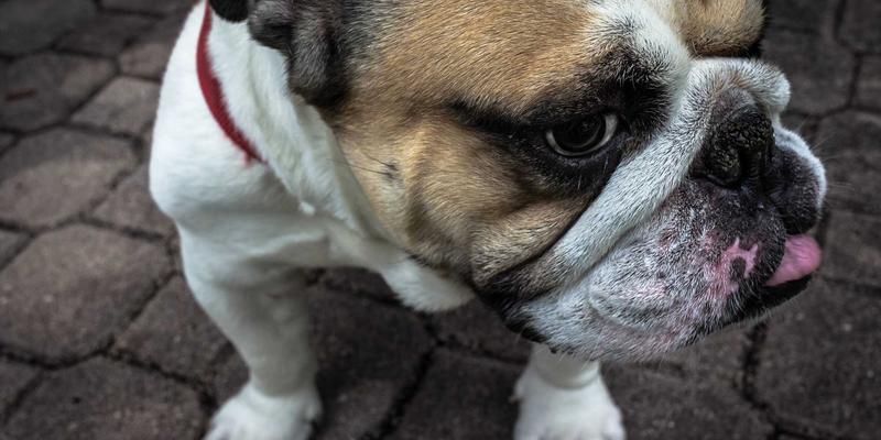 Golf98：不止是运动，更是一个充满活力的高尔夫世界