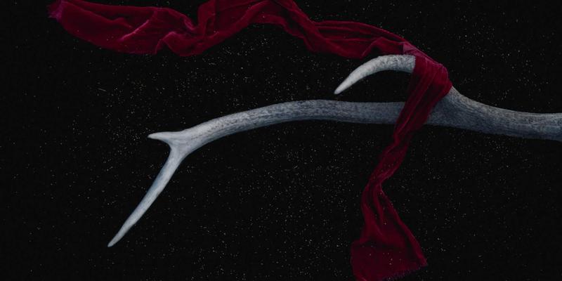 Local Golf指南：掌握比杆赛与比洞赛的核心区别，提升你的高尔夫运动策略