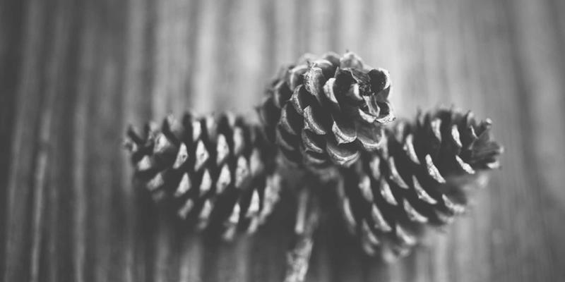 打造家庭高尔夫天地：从空间规划到实战训练的全方位模拟器安装指南