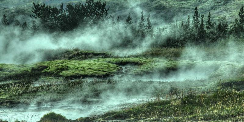 挥杆之间守护自然：高尔夫运动的环境保护与可持续管理实践深度解析