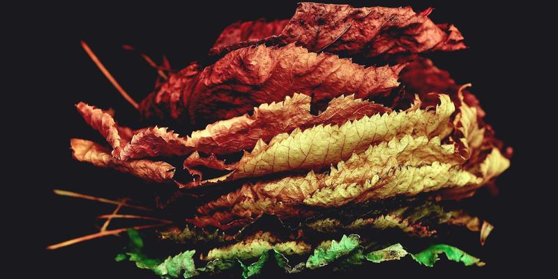 高尔夫与商业社交：从golfing tips到球场选择，在果岭上建立黄金人脉