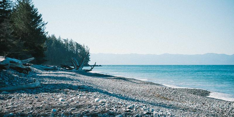 高尔夫新手入门指南：如何选择你的第一套高尔夫球杆套装 | Golf Sports & Courses深度解析