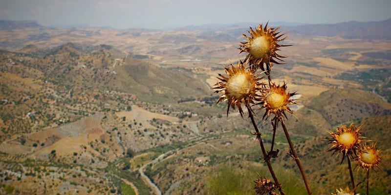 高尔夫球员营养与恢复指南：赛季期间的饮食计划与疲劳管理策略