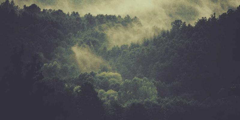 高尔夫球场策略制定：如何根据天气、地形与自身优势打出最佳成绩 | Golf Reviews & Sports指南