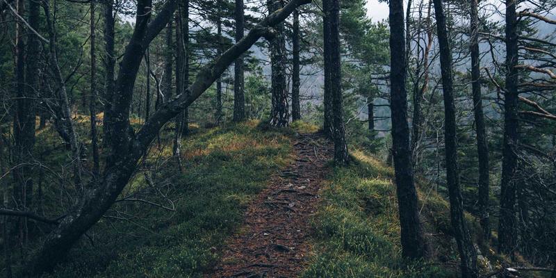 高尔夫运动损伤预防与康复：解读肩、肘、腰伤的成因与针对性训练 | Golfing Tips & Reviews