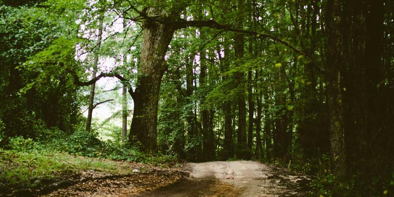 高尔夫进阶指南：从技巧精进到融入社区，开启你的高球之旅